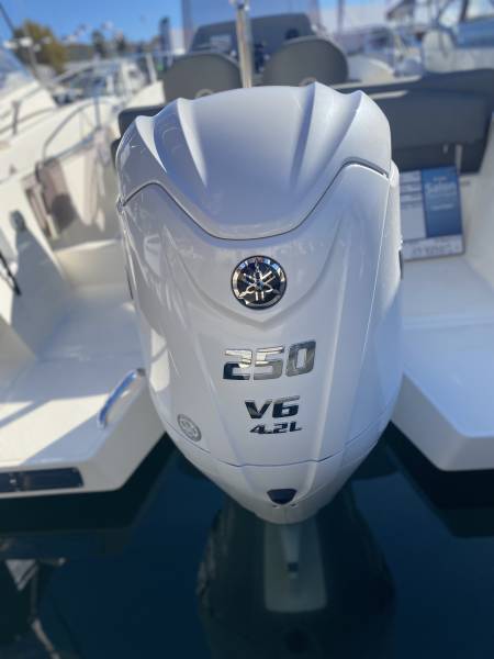 WHITE SHARK 230 CC ORIGIN - OPEN