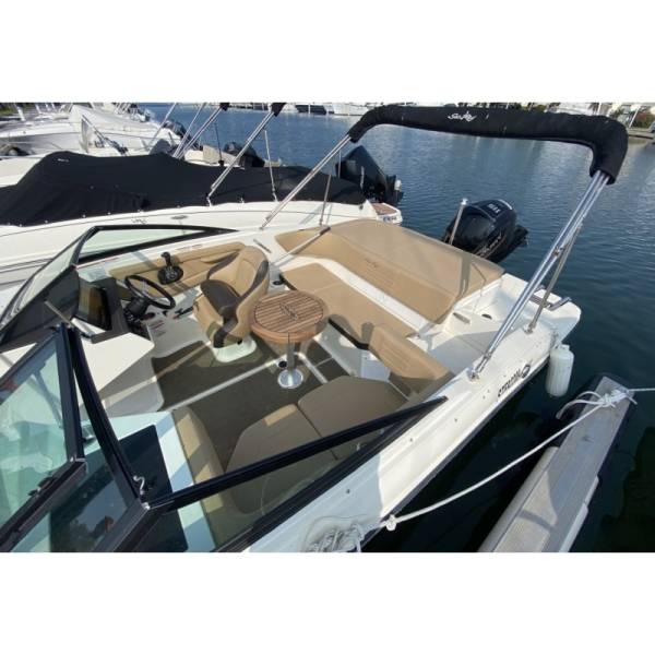 Bateau Sea Ray 190 SPX d'occasion